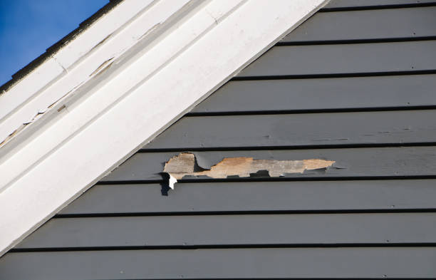Best Same-Day Junk Removal Services  in Albion, NY